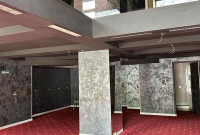 Spațiu comercial, de 227 mp, în Decebal - 2