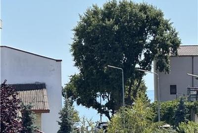 Casa la Cativa Pasi de Mare in Faleza Nord - Ideala Pentru Familii sau Investito - 23