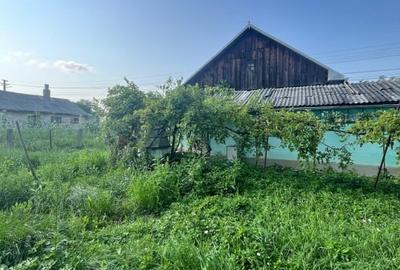 Casa individuala, 800 mp teren, Siret - 13