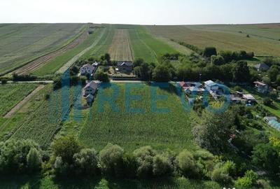 Teren de 3500 mp, în Bogdănești - 5