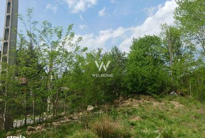 Spațiu comercial, în Gura Râului - 2