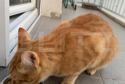 Apartament 2 camere, modern, parcare, pet friendly, zona Manastur - 7
