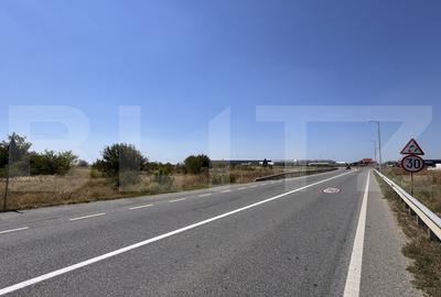 Teren intravilan, 13.025 mp, 40mp deschidere zona Carcea - 4