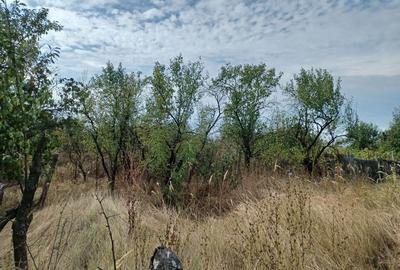 Casă cu 2 camere cu Teren 3100 Mp în Diculești - 11