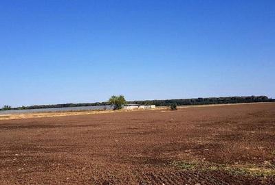 Branesti teren intravilan 30700 mp Branesti teren intravilan 30700 mp - 4