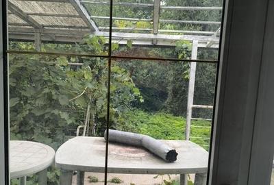 Casa / Vila in zona Dambul Rotund - 15