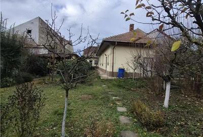 Propietate cu 2 case individuale - ingrijite - pe un teren de 800mp - zona excelenta Timisoara - 19