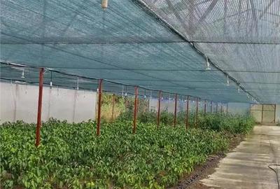 Spațiu comercial, de 1,300 mp, în Blăjenii de Jos