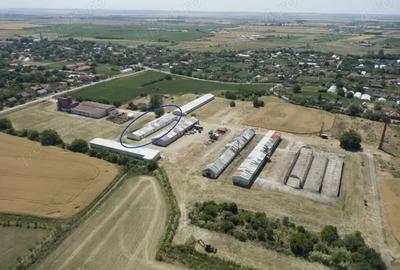 Hala de inchiriat Hala de inchiriat - 4