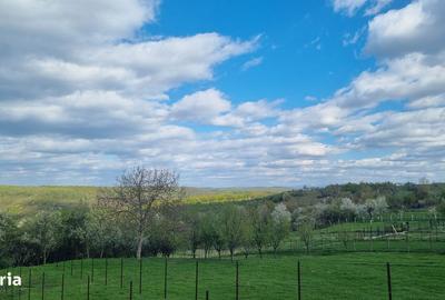 Casă cu 3 camere în Cordău - 9