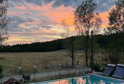 Casă cu 8 camere cu Teren 10800 Mp în Galicea - 20