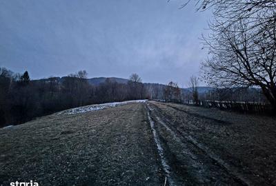 Teren de 5000 mp, în Șinca - 5