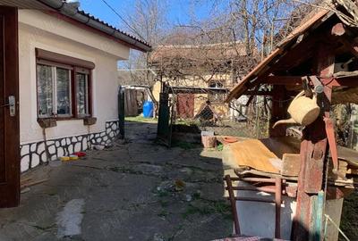 Casă cu 3 camere cu Teren 439 Mp în Central - 4