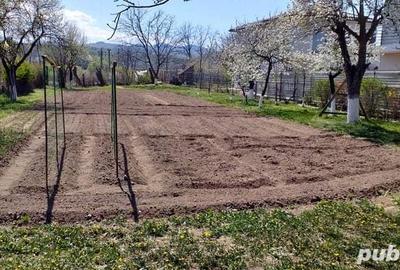 Casă cu 8 camere cu Teren 1669 Mp în Gilău - 1
