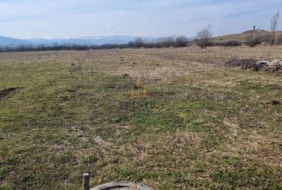 Teren agricol extravilan de 1000 mp, în Șelimbăr - 11