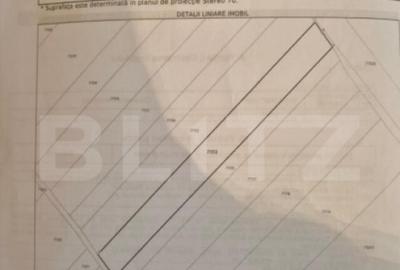 ???? Teren extravilan 3.800 mp, zona Mane?ti, deschide - 1