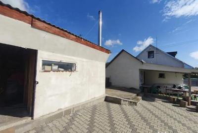 Casă cu 4 camere cu Teren 6000 Mp în Negostina - 9