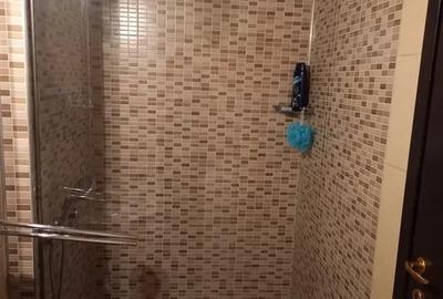 Apartament cu 2 camere decomandat în Nord - 8