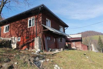 Inima Transilvaniei Inima Transilvaniei - 7