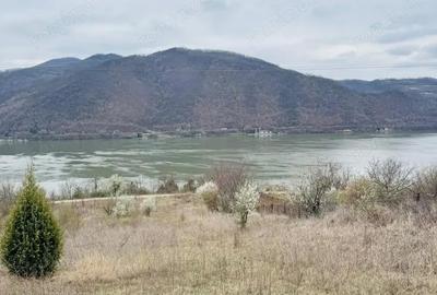 Teren de 6042 mp, în Berzasca - 1