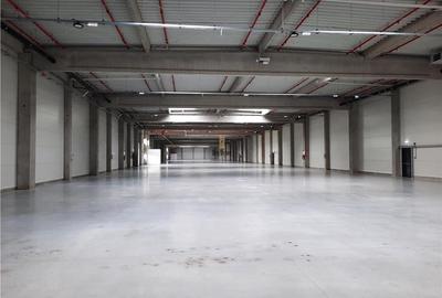 Spatiu Industrial - 900 mp - Productie - Depozitare - 17