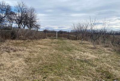 Casă individuală cu 3 camere cu Teren 3300 Mp în Exterior Vest - 6