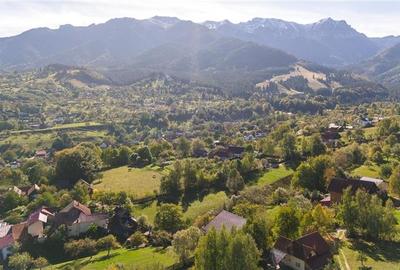 FILM! Proprietate notabila, ocazie personalizare, in transcendentalul Bran, Bras - 21