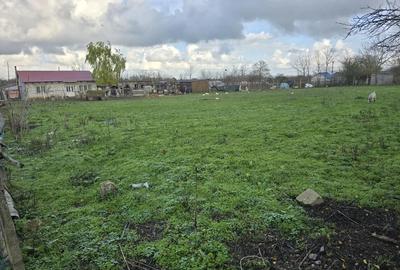 Teren de 2500 mp, în Bărăganu - 4