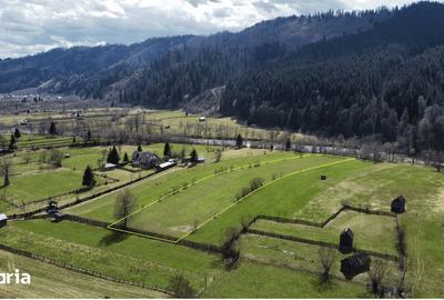 Teren de 8704 mp, în Vatra Moldoviței - 9