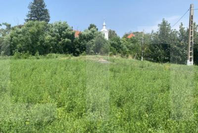 Teren intravilan 3.000 mp cu front stradal 30 m Sat. Moa - 4