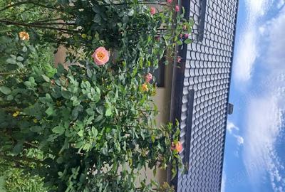 Casă cu 6 camere cu Teren 1880 Mp în Parța - 1