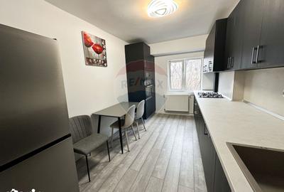 Apartament cu 2 camere, mobilat în Berceni