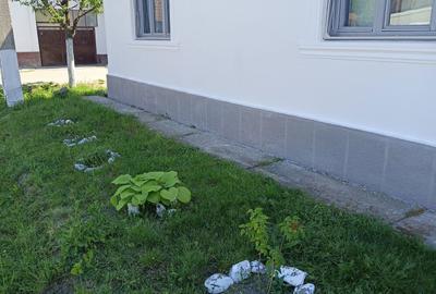 Casă cu 4 camere cu Teren 581 Mp în Gurahonț - 5