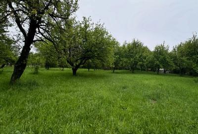 Vanzare teren intravilan-sat Selari,Arges - 4