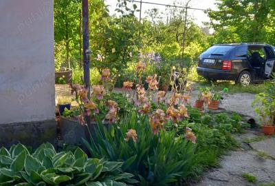Vind casa cu teren Intravilan in Rimnicu-Vilcea Str. Buridava 34 - 5