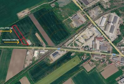 Teren Construcții intravilan de 5000 mp, în Carei - 10