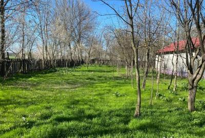 Teren de 4975 mp, în Belciug - 11