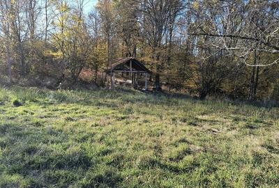 Teren de 8700 mp, în Ramna - 5