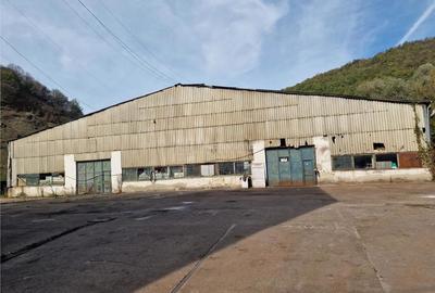 Resita CHIRIE Hangar 3600 Mp - 4