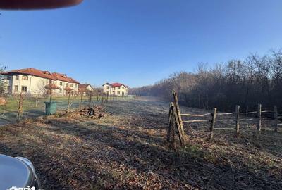 Teren de 3676 mp, în Păulești - 1