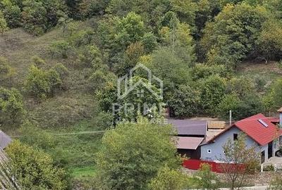 Teren de 5030 mp, în Meteș - 2