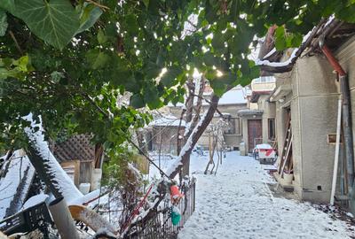 Teren patrat, strada linistita langa Ciuperca Domenii - 10