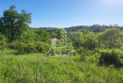 Teren de 2880 mp, în Cuied - 4