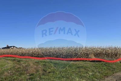 Teren de vanzare in Maneuti - 4