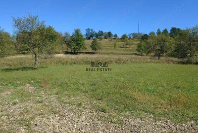 Teren de 8757 mp, în Luncoiu de Sus - 12