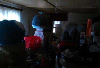 Vand casa la 38 km de aeroportul Otopeni - 5