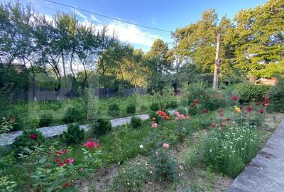 Casa solida de vanzare 120mp, 1840mp teren la strada principala Paun - 3