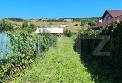 Teren 1000 mp intravilan cu constructie metalica de 66 mp - 2