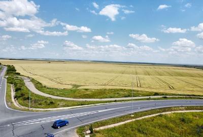 Teren la sosea Ortisoara - Autostrada A1 - 6