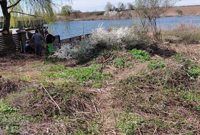 Teren intravilan de 2300 mp, în Snagov - 2